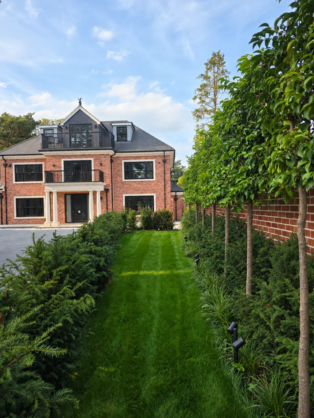 Pleached evergreen privacy screening above a brick garden wall