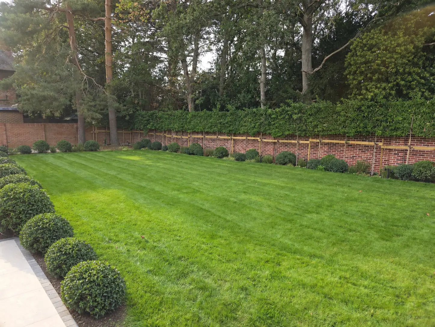 Striped lawn and clipped shrubs beside a brick garden boundary
